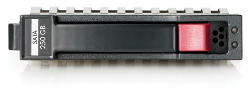250GB SATA 3.5" 7200RPM (Hot Swap with Caddy) HDD (397553-001)